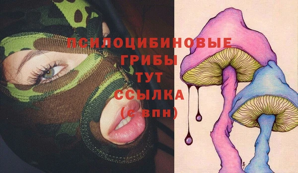 стаф Белоозёрский