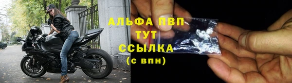 spice Белокуриха