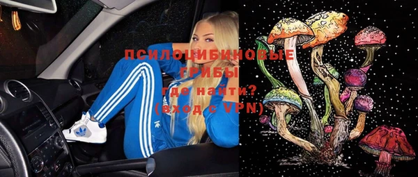 spice Белокуриха