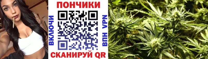 площадка клад  mega ONION  Новоалександровск  Бошки Шишки White Widow 